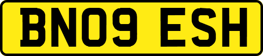 BN09ESH
