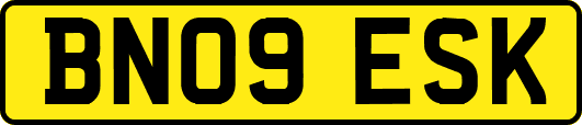 BN09ESK