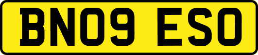 BN09ESO