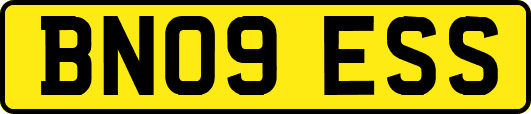 BN09ESS
