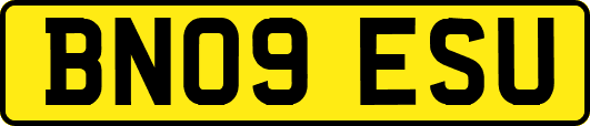 BN09ESU