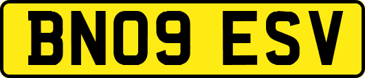 BN09ESV