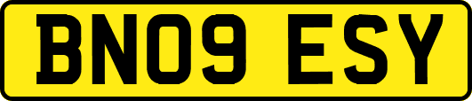 BN09ESY