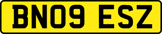 BN09ESZ