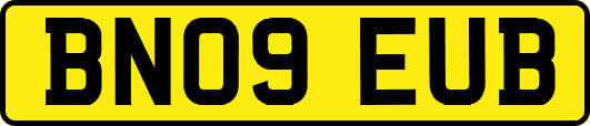 BN09EUB