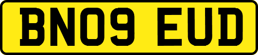 BN09EUD