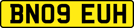 BN09EUH