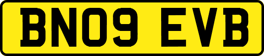 BN09EVB