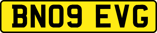 BN09EVG