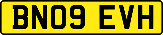 BN09EVH