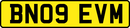 BN09EVM