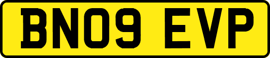 BN09EVP
