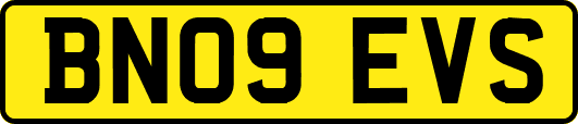 BN09EVS