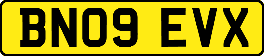 BN09EVX
