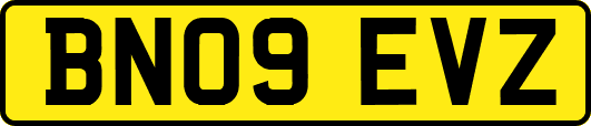 BN09EVZ