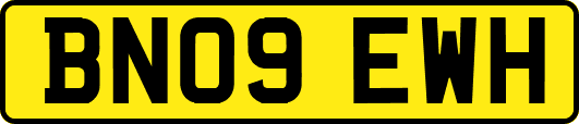 BN09EWH