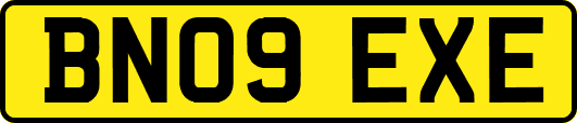 BN09EXE