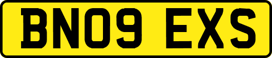 BN09EXS