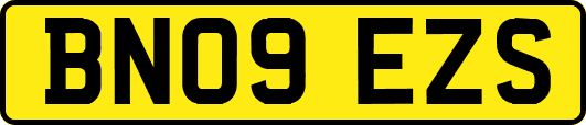 BN09EZS