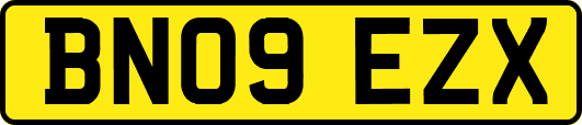 BN09EZX