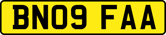 BN09FAA