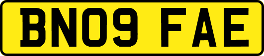 BN09FAE