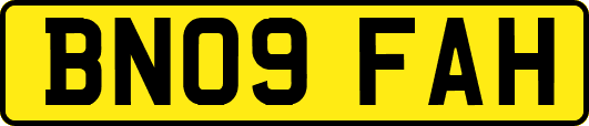 BN09FAH