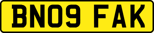 BN09FAK