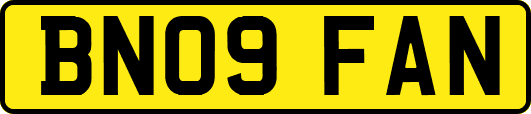 BN09FAN