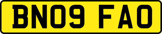 BN09FAO