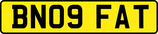 BN09FAT