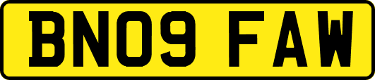 BN09FAW