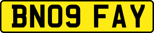 BN09FAY