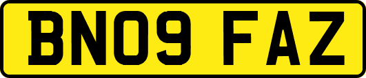 BN09FAZ