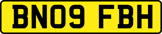 BN09FBH