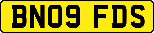 BN09FDS