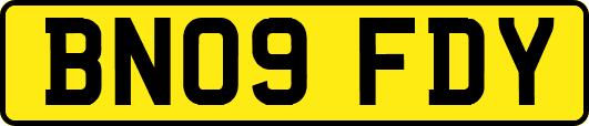 BN09FDY