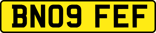 BN09FEF