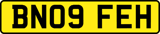 BN09FEH