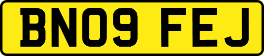 BN09FEJ