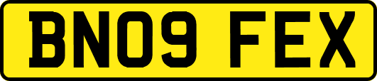 BN09FEX