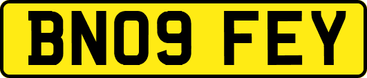 BN09FEY