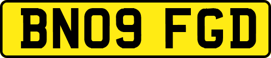 BN09FGD