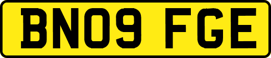 BN09FGE