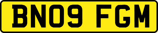 BN09FGM