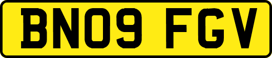 BN09FGV