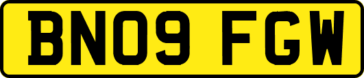 BN09FGW