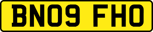 BN09FHO