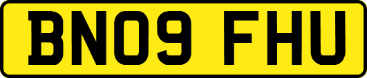 BN09FHU