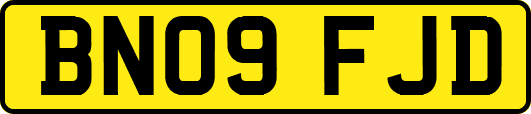 BN09FJD
